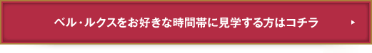 ベル・ルクスをお好きな時間帯に見学する方はコチラ